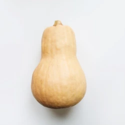 Butternut BE
