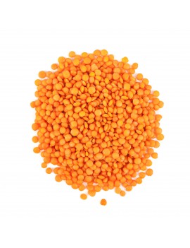 Lentilles corail