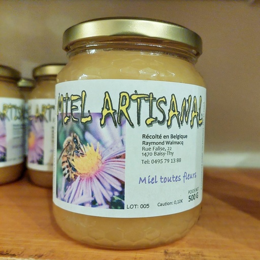 Miel de Raymond (500g)