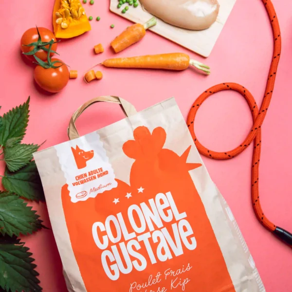 Croquettes pour chien (au poulet)