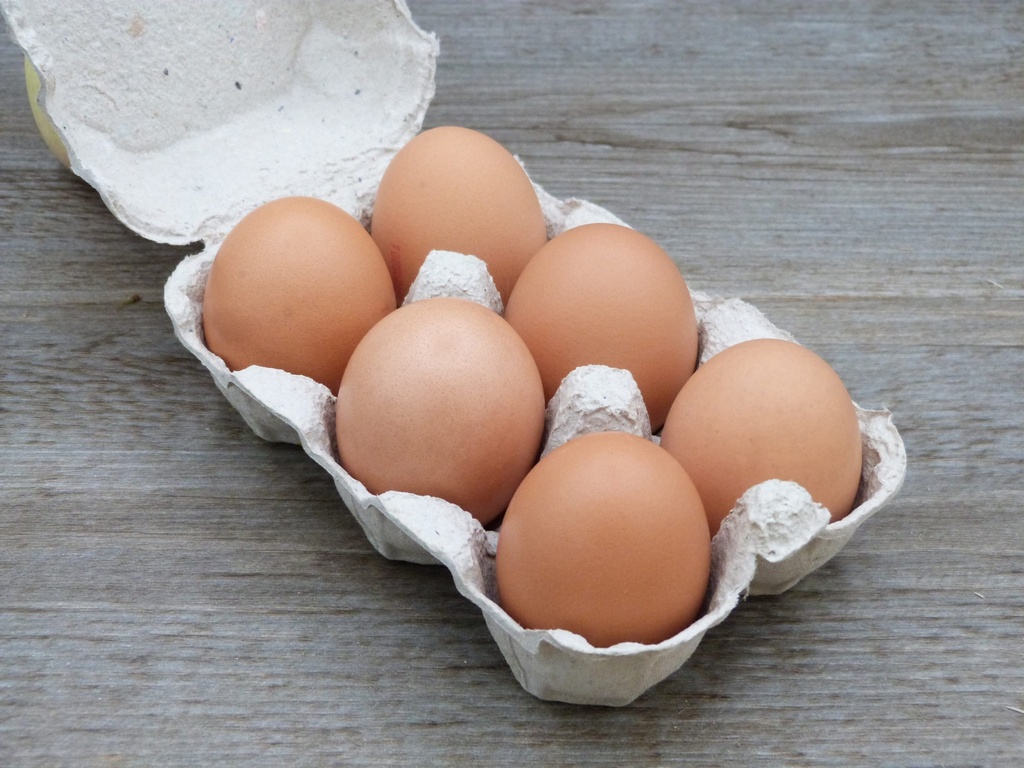 Oeufs extra frais BIO calibre M - Ferme du Gala
