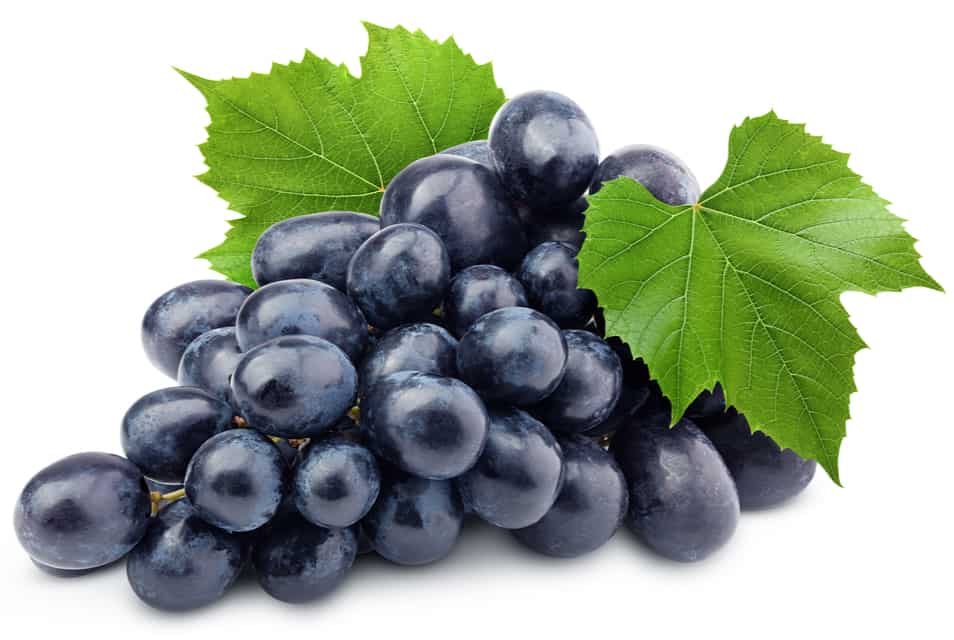 Raisin noir (/kg)