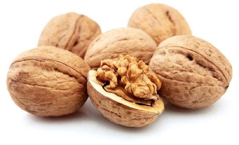 Noix fraîches (/kg)