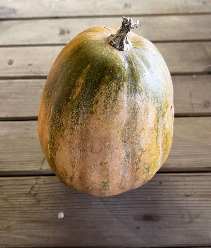 Courge sucrine (/kg) 