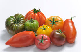Tomates grappe (/kg)