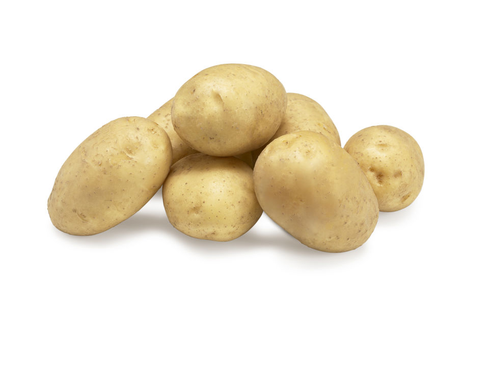 Pomme de terre 'Agria' (farineuse)