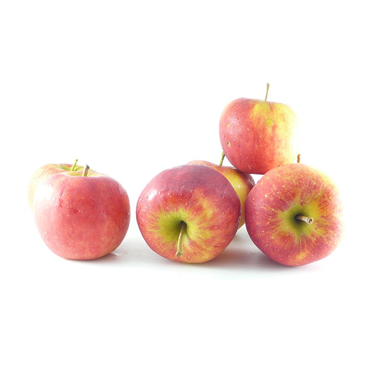 Pomme Coxybelle de Temploux (/kg)