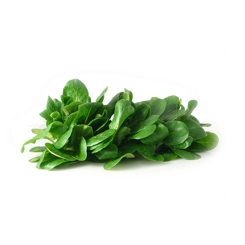 Salade de blé (/kg)